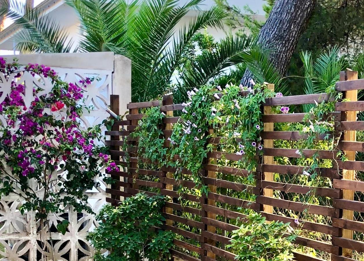 Villa Can Ordinas Αλκούδια Εξωτερικό φωτογραφία