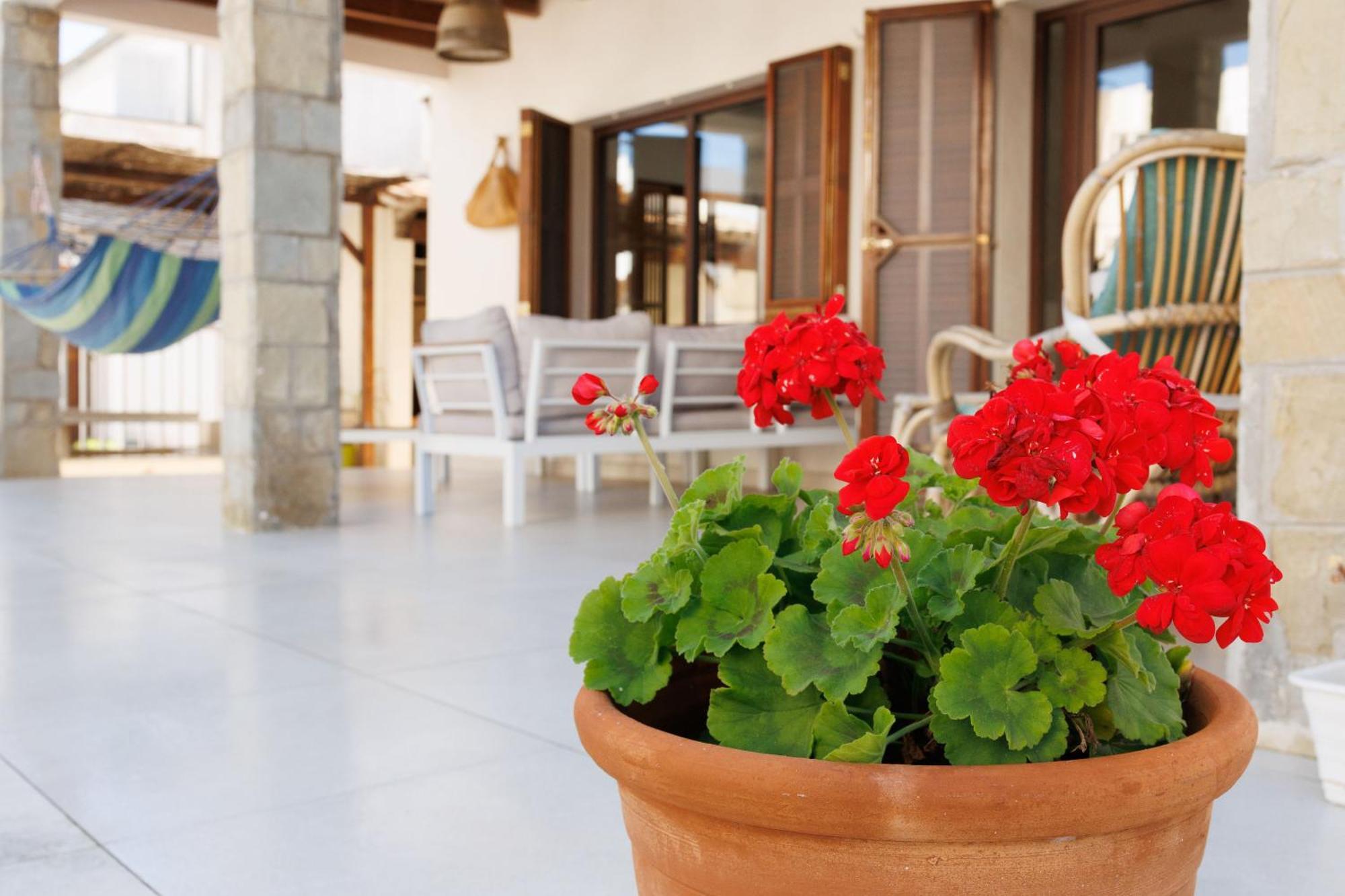 Villa Can Ordinas Αλκούδια Εξωτερικό φωτογραφία